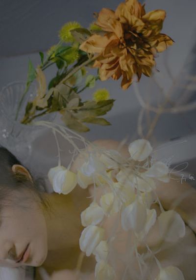 明亮星星 电视剧